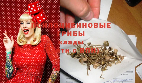 амфетамин Богородск