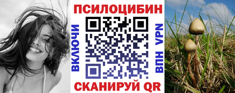 Псилоцибиновые грибы GOLDEN TEACHER  купить наркотики цена  Гуково 